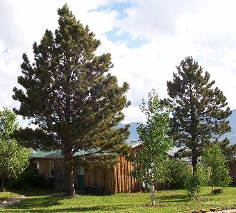 Cabin 2 Front Door